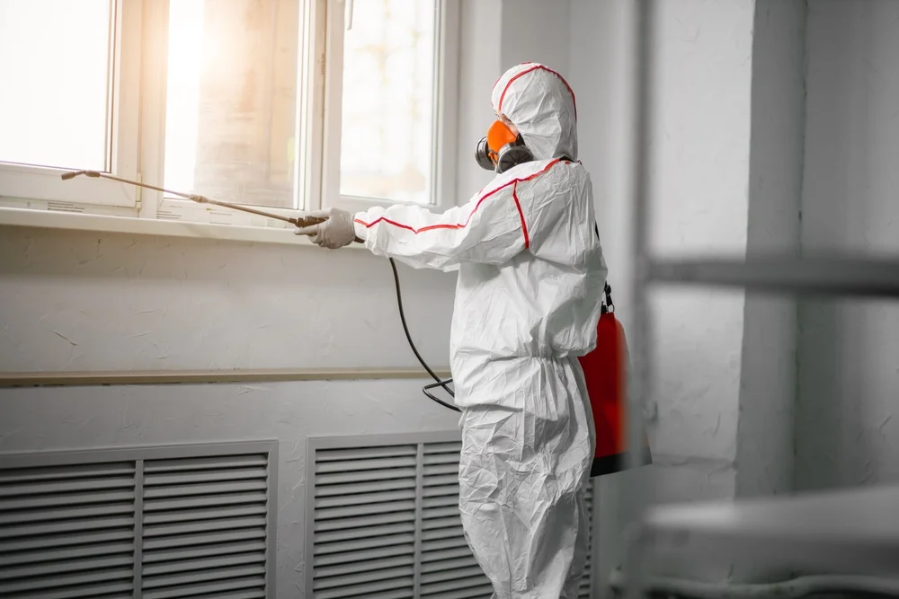 Professional mold remediation services in Chippewa Lake, OH